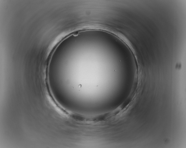 X0000113991005200910021218