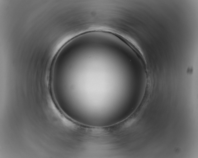 X0000113991007200910021218