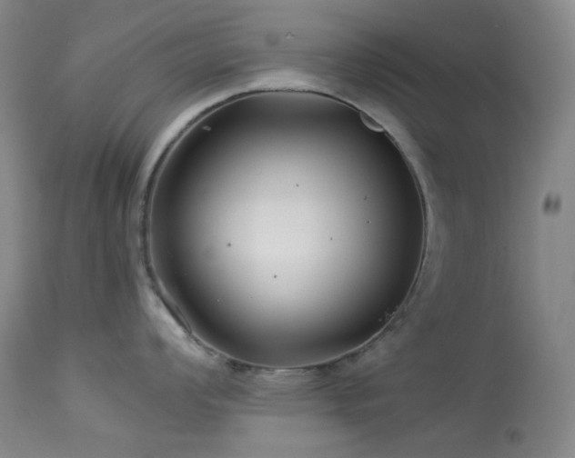 X0000113991008200910021218