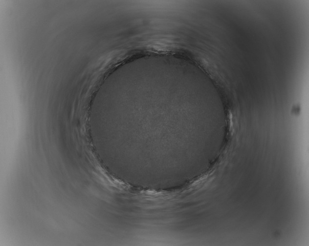 X0000113991009200910021217