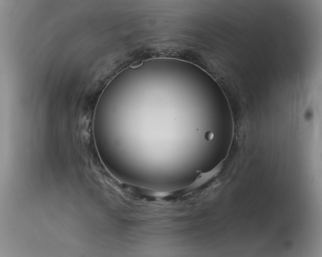 X0000113991010200910021217