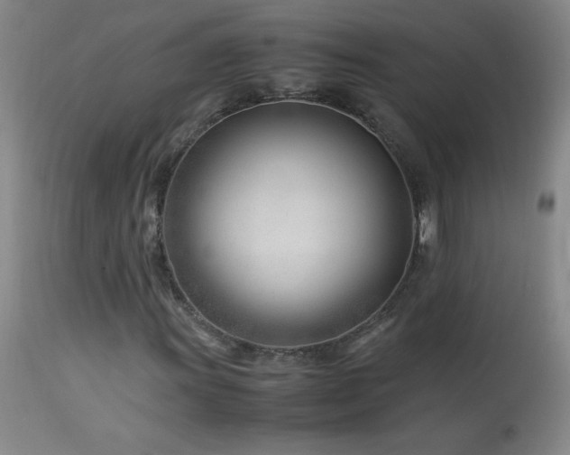 X0000113991011200910021217