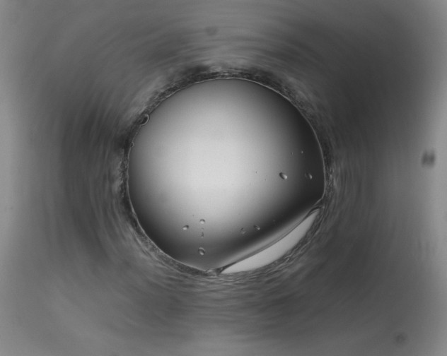 X0000113991012200910021217