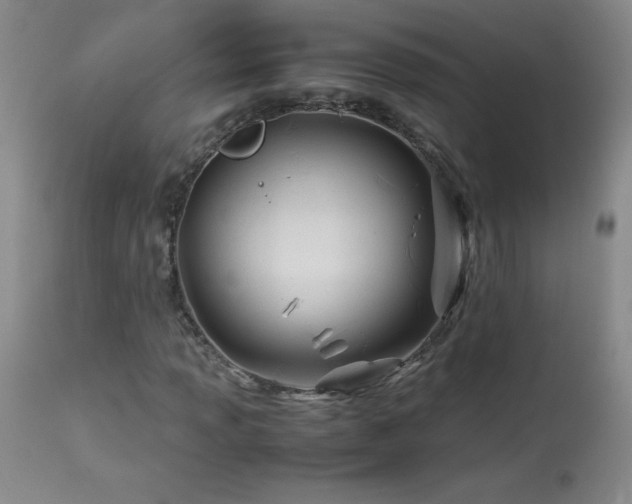 X0000113991013200910021217