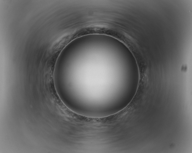 X0000113991014200910021217