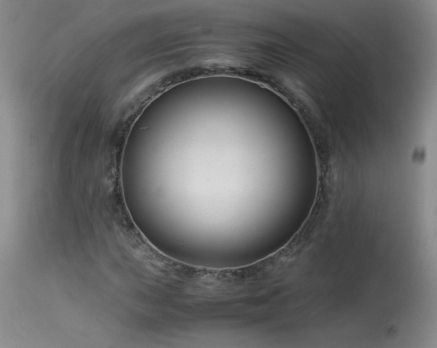 X0000113991015200910021217