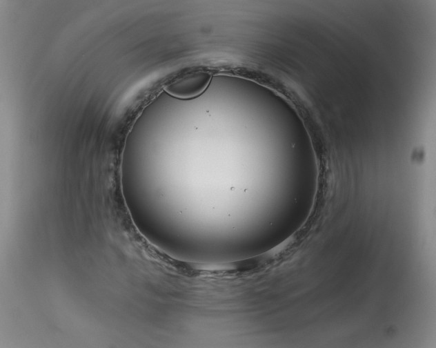 X0000113991016200910021217