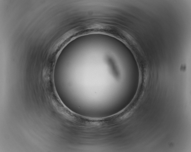 X0000113991017200910021217