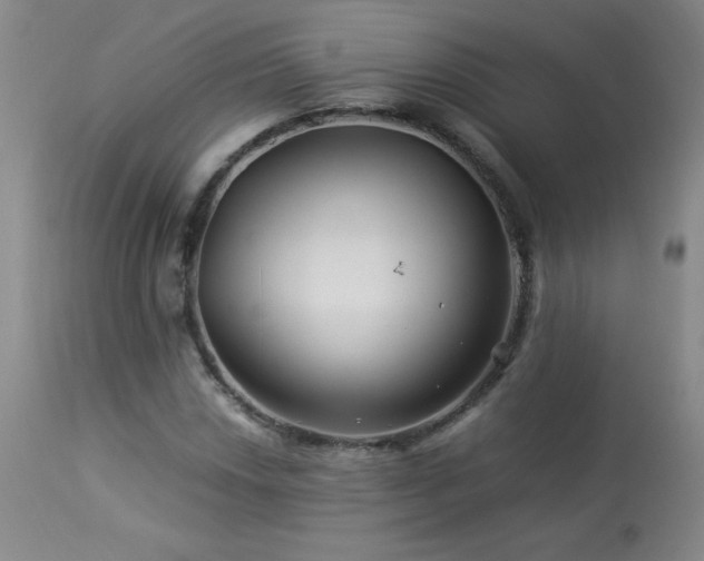 X0000113991018200910021217