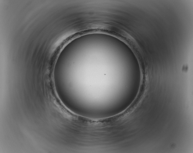 X0000113991019200910021217