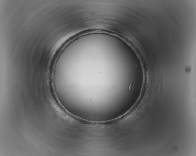 X0000113991020200910021218