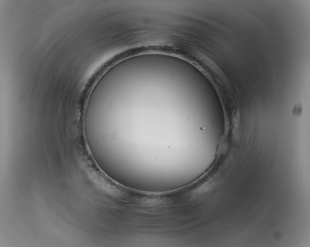 X0000113991021200910021218