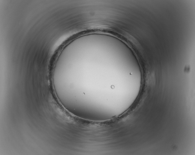 X0000113991022200910021218