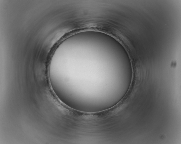 X0000113991023200910021218