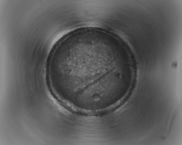 X0000113991024200910021218