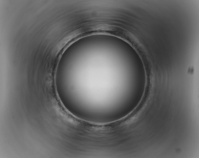 X0000113991025200910021218