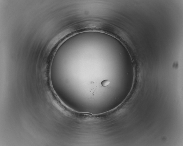 X0000113991026200910021218