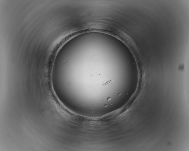 X0000113991027200910021218