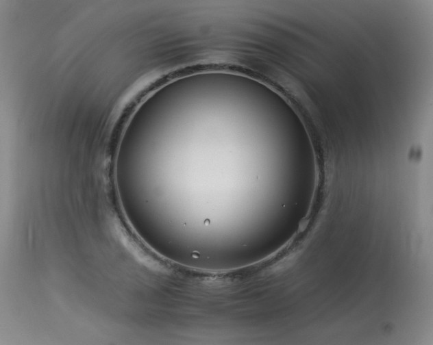 X0000113991029200910021218