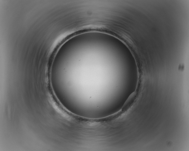 X0000113991030200910021218