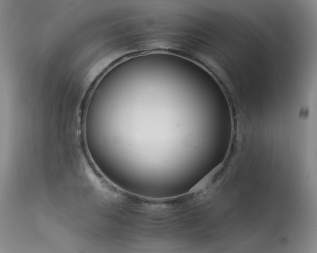 X0000113991031200910021218