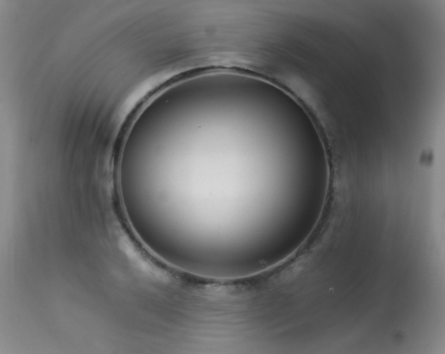 X0000113991032200910021218