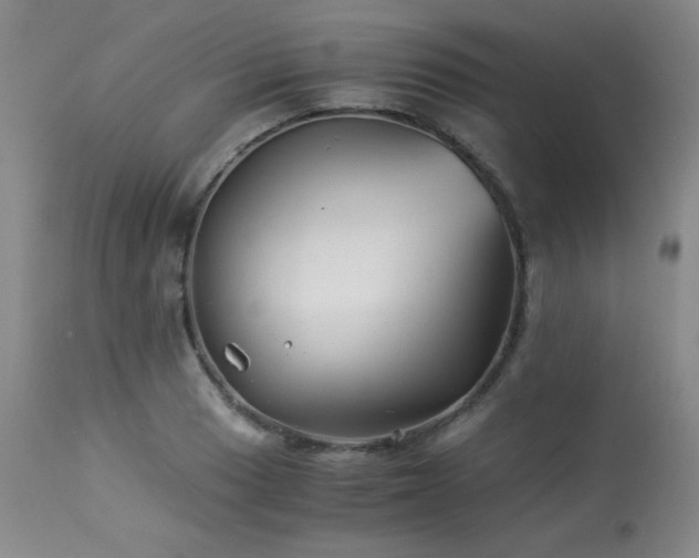 X0000113991033200910021218