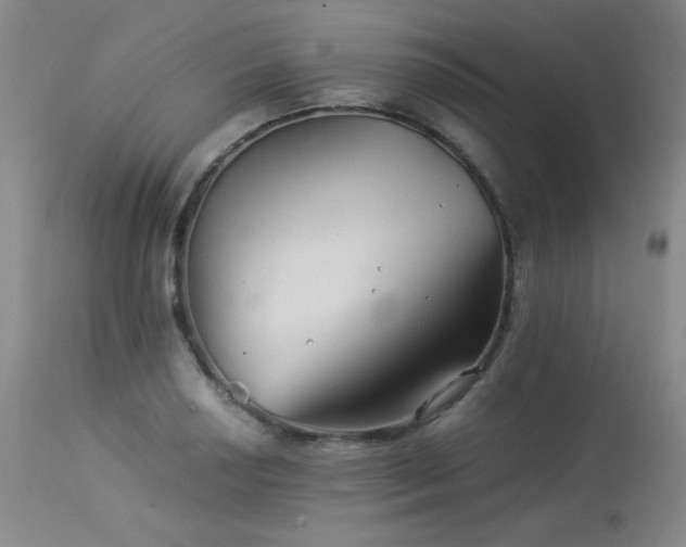 X0000113991034200910021218