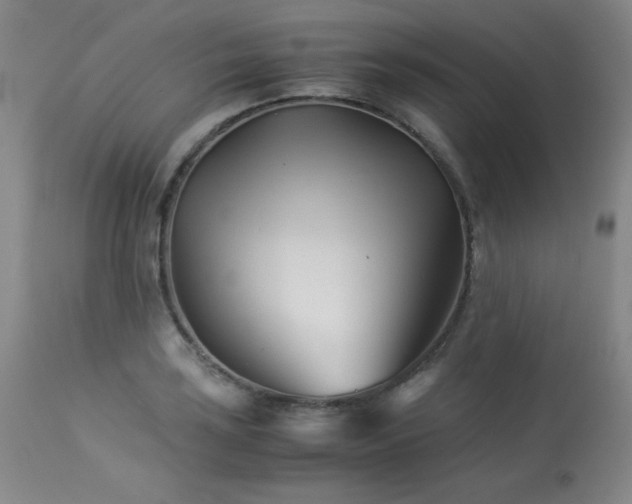 X0000113991035200910021218