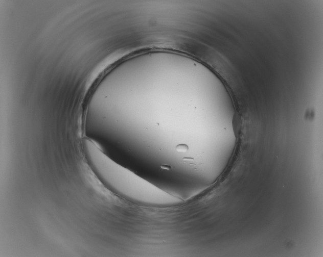 X0000113991036200910021218