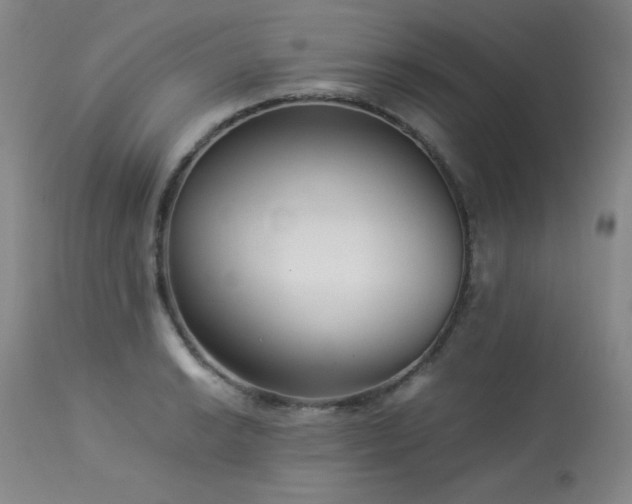 X0000113991038200910021218