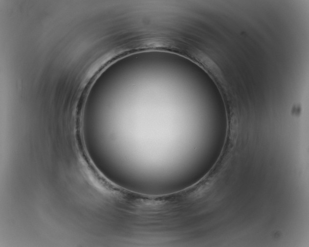 X0000113991039200910021218