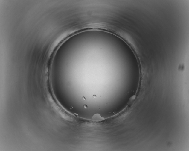 X0000113991040200910021218