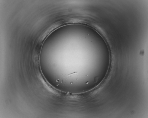 X0000113991041200910021218