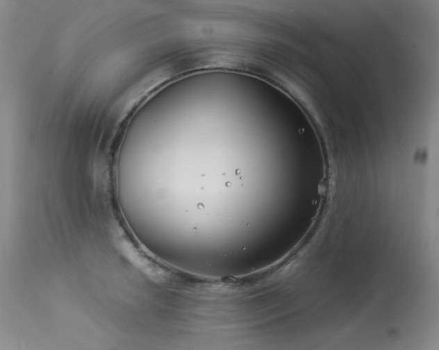 X0000113991042200910021218