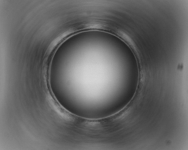 X0000113991043200910021218