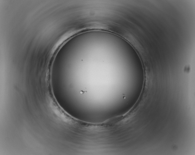 X0000113991044200910021218