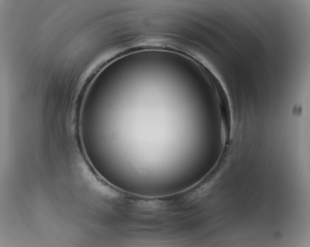 X0000113991045200910021218