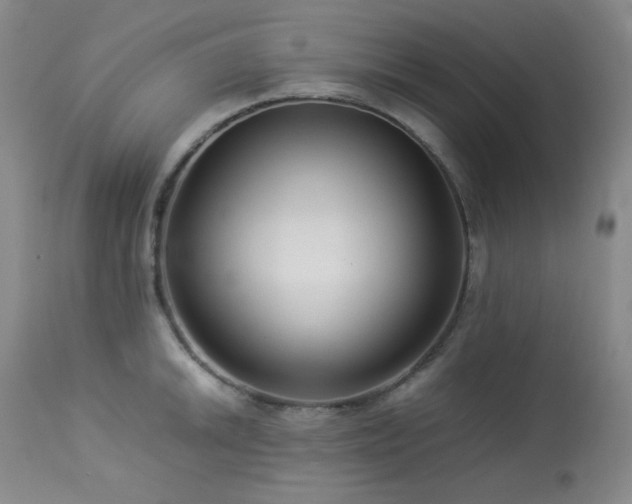 X0000113991046200910021218