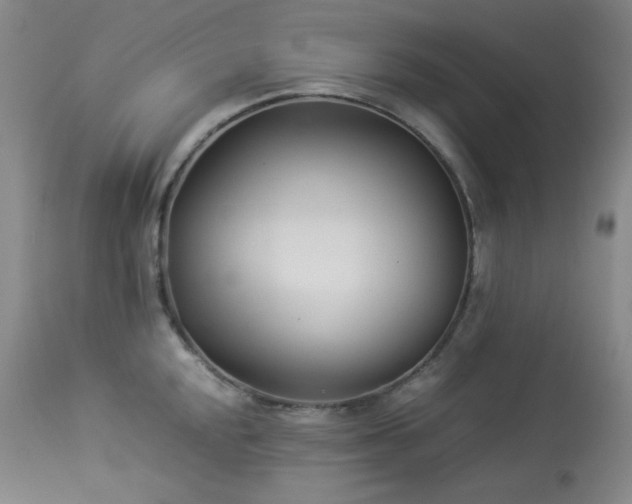 X0000113991048200910021218