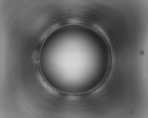 X0000113991049200910021218