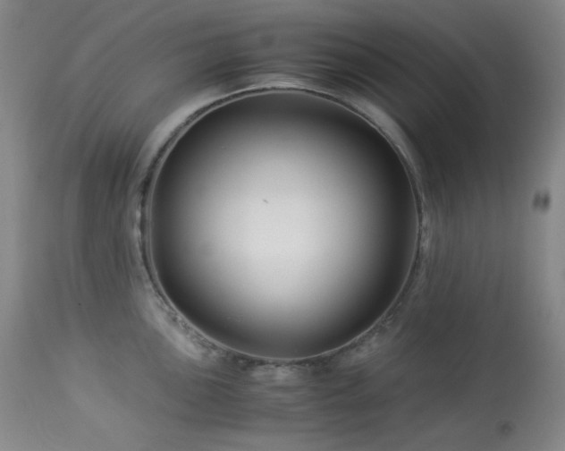 X0000113991051200910021218