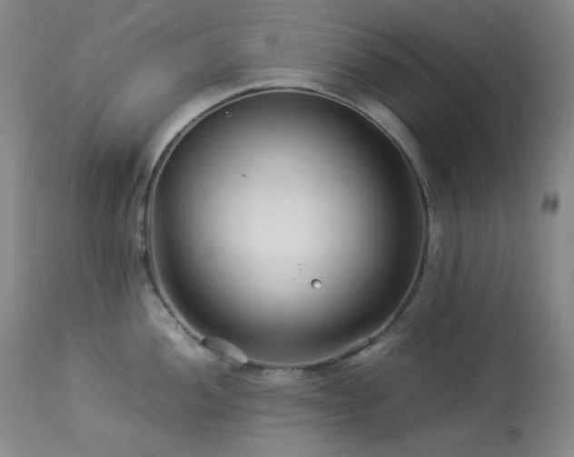 X0000113991052200910021218