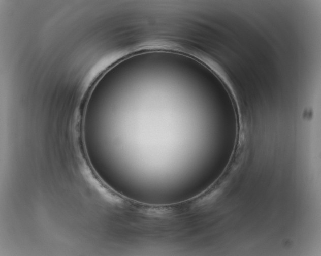 X0000113991053200910021218