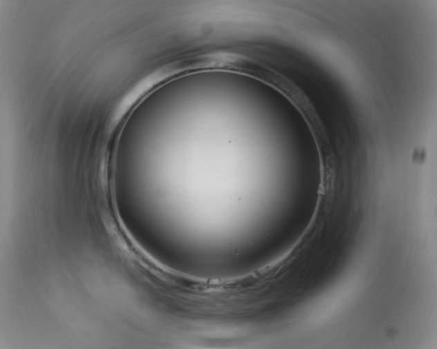 X0000113991054200910021218