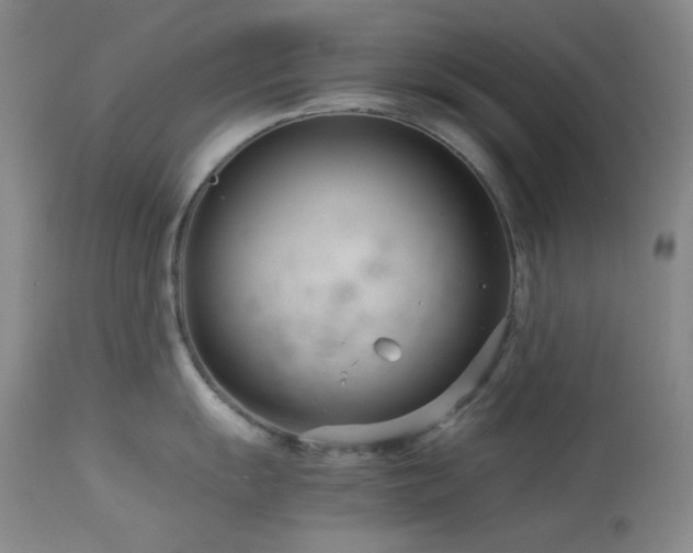 X0000113991055200910021218