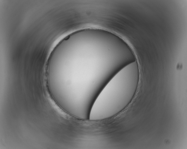 X0000113991056200910021218