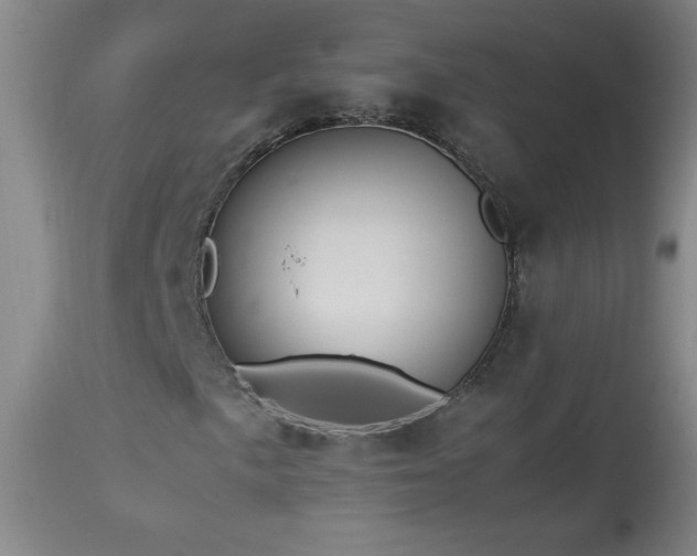 X0000113991057200910021217