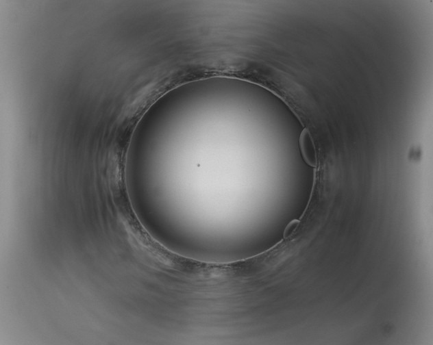 X0000113991058200910021217