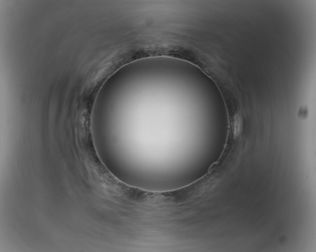 X0000113991059200910021217